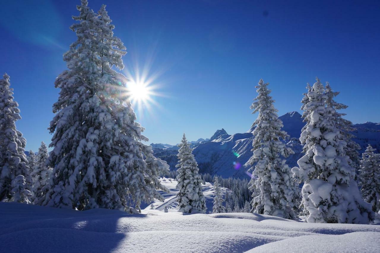 Melanie's Westendorf